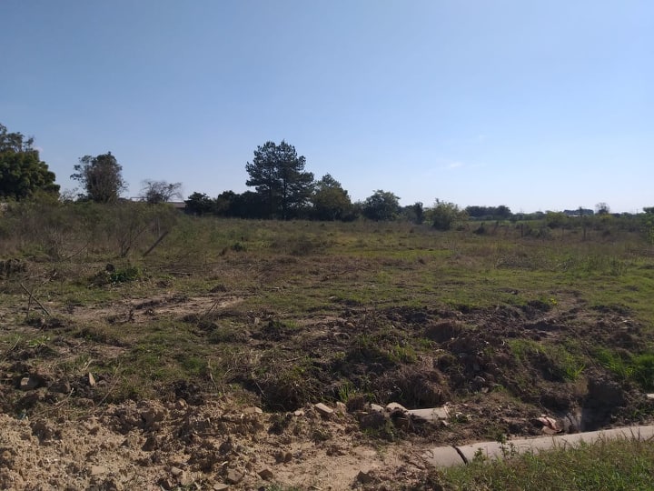 Terreno Terreno