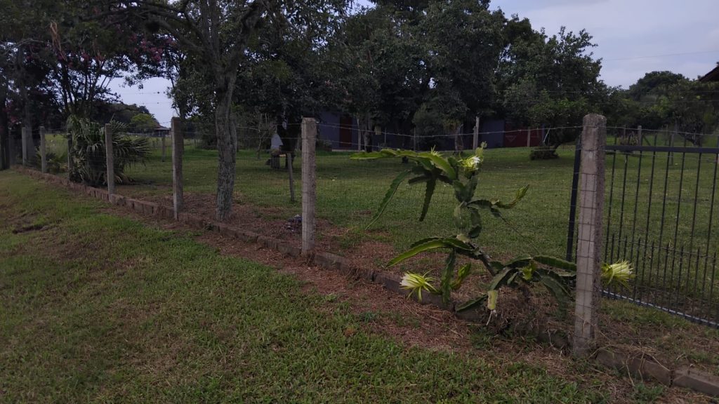 Chácara em Linha Portão