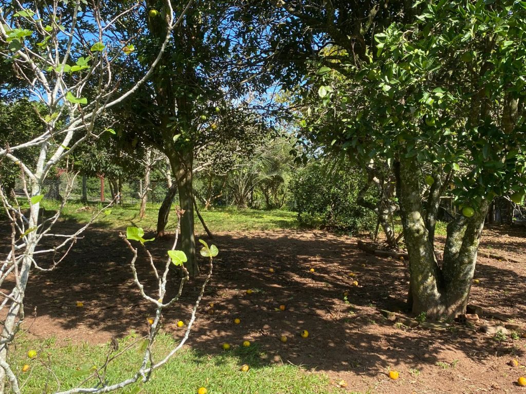 Linda chácara no Passo da Areia