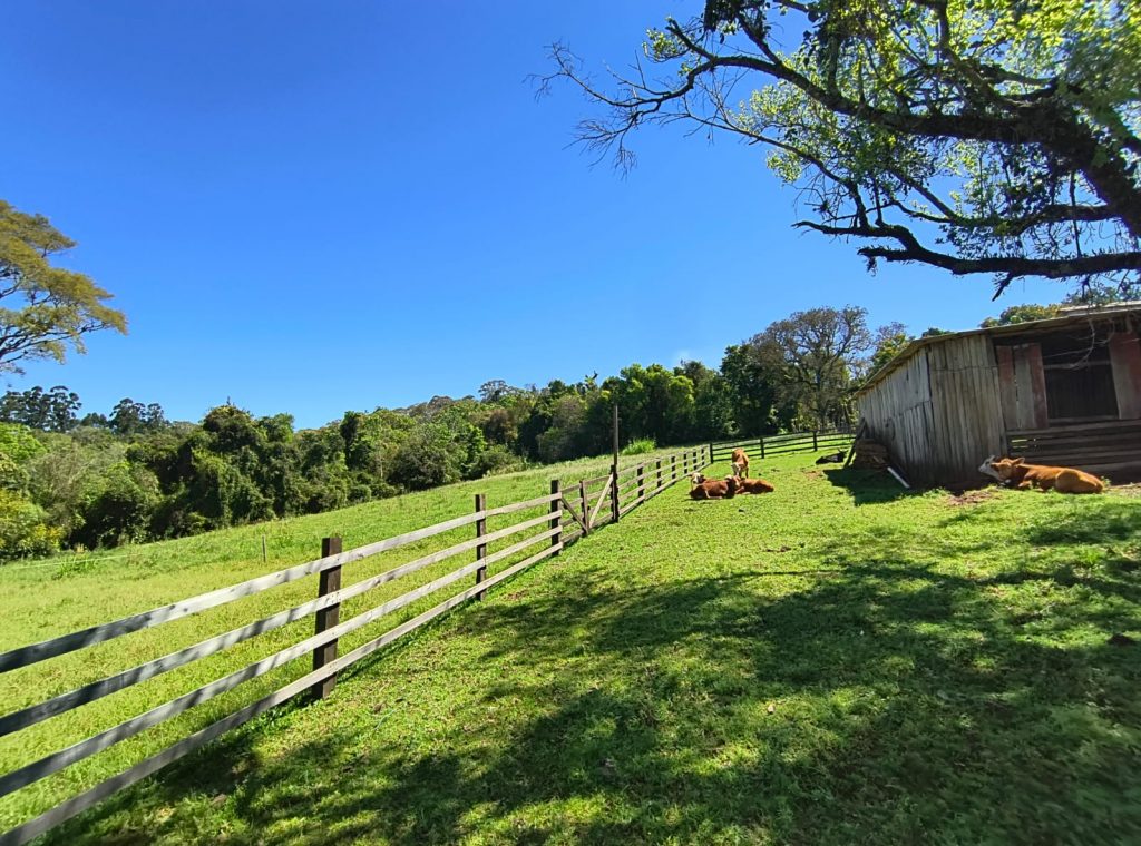 Linda propriedade rural a venda